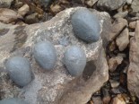 clay eggs